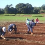 Brasil cria 124 mil empregos em junho-media-1